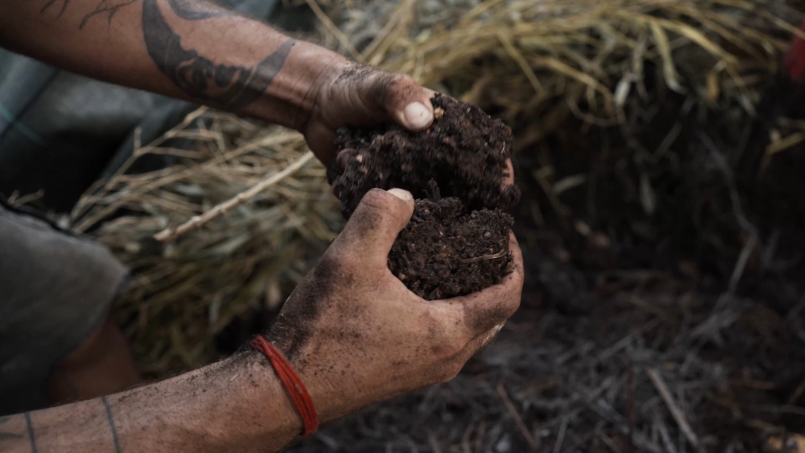 Foto de contacto con la Tierra | theeatingschool.org